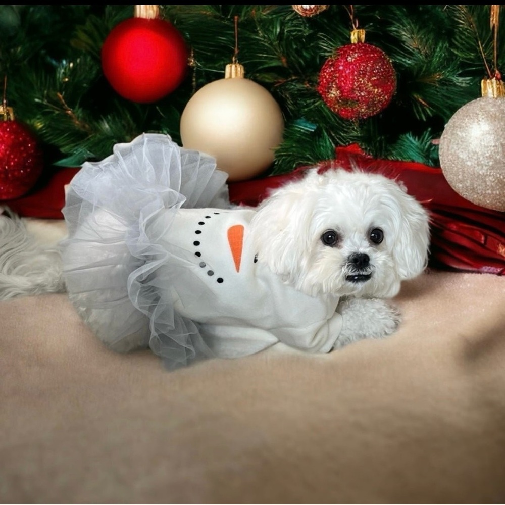 Gorgeous & cozy Christmas Dog Dress, size medium